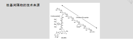 道可特研究丨ADC药物Linker的专利特性及布局策略