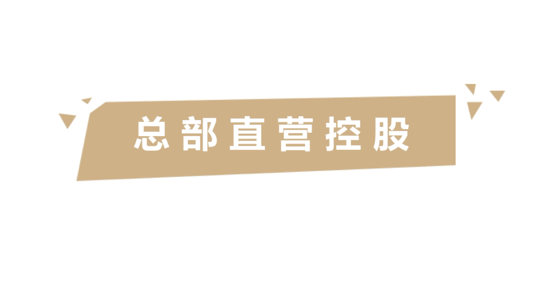 我们要打造一间充分公司化运营管理的办公室