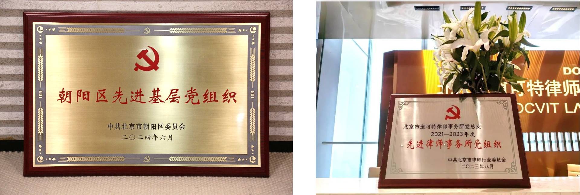 道可特连获2项党建殊荣