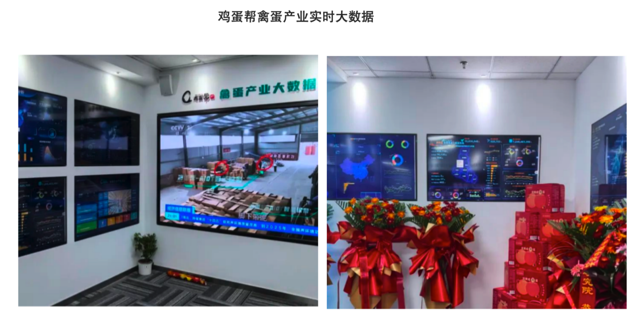 道可特与鸡蛋帮开展“数据赋能禽蛋数字产业平台价值提升”专项交流会