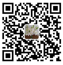 道可特天津办公室高级合伙人陈卫