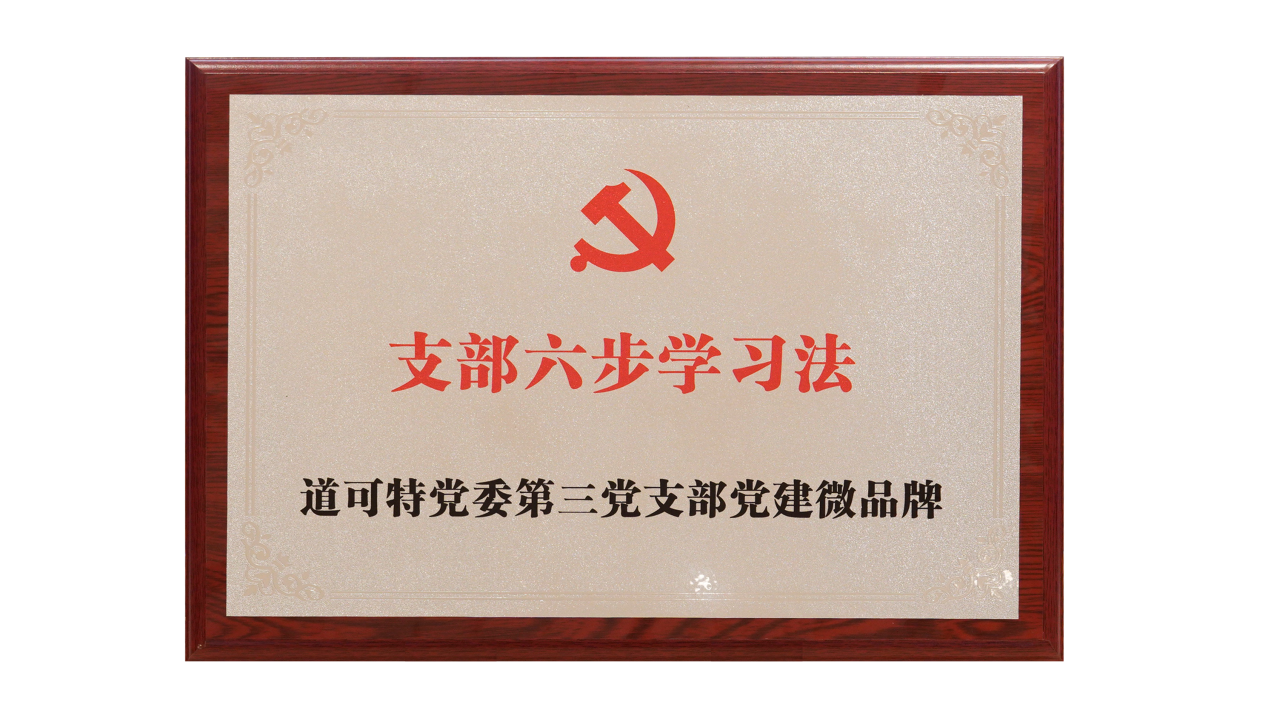 道可特党委第三党支部党建微品牌：支部六步学习法