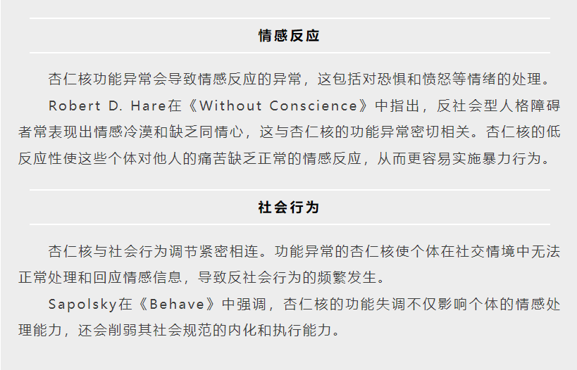 杏仁核的作用