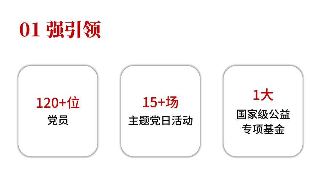 新岁序开 道启新程丨9组关键词及数字，带您回顾道可特的2023