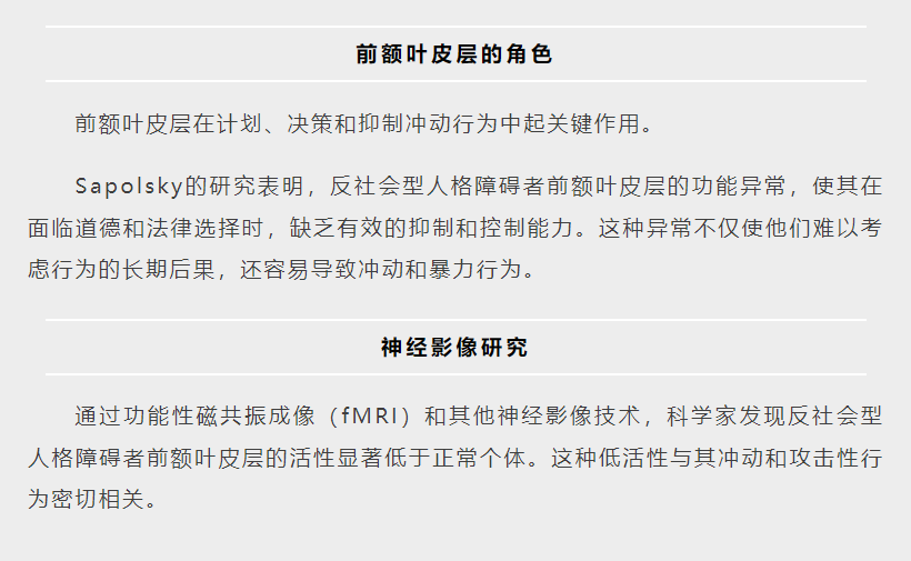 前额叶皮层与行为调控