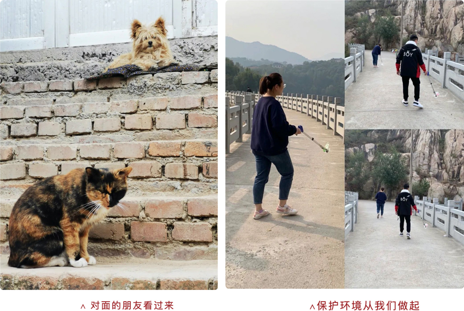 跃律俱乐部