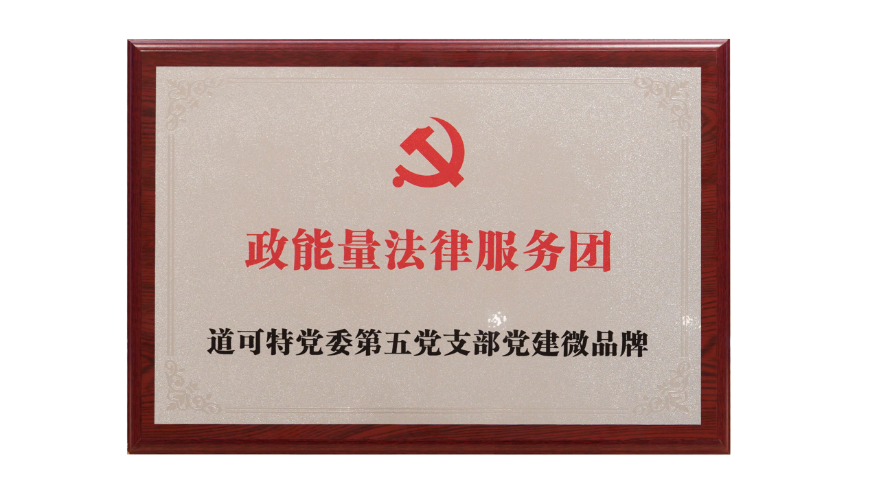 道可特党委第五党支部党建微品牌：政能量法律服务团