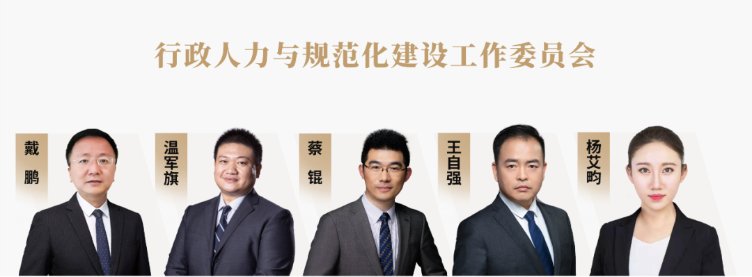 道可特总部行政人力与规范化建设工作委员会