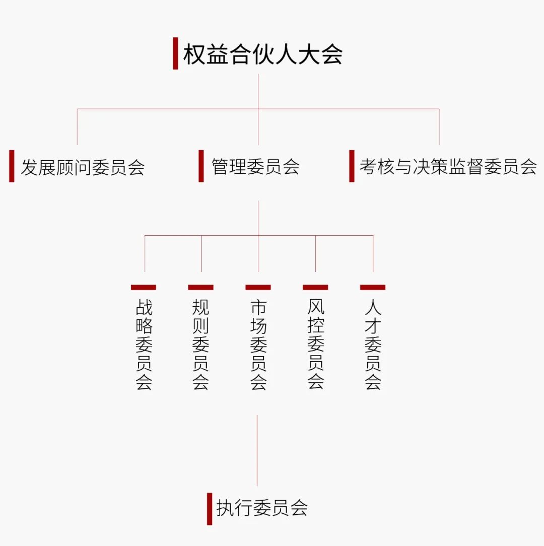 道可特总部管理架构