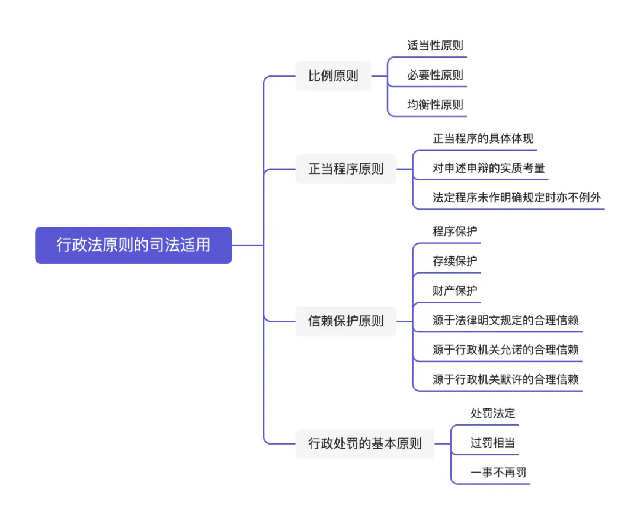 行政法原则的司法适用